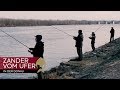 GEHT die RECHNUNG auf?! - Auf Zander in der Donau vom Ufer aus mit dem Team Westin Austria