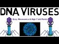 Dna viruses  easy mnemonics  high yield points
