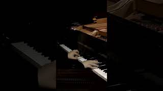 R  Schumann complete piano works VOL6 10