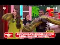 Explosión de Iquitos - Ritmo De Mi Tierra En Vivo (América Hoy)