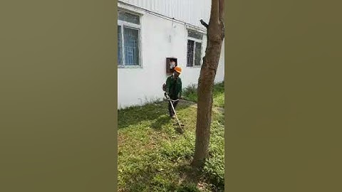 Vệ sinh CN Hoàng Anh cung cấp dịch vụ cắt cỏ, chăm sóc sân vườn định kỳ