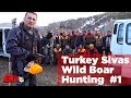 Wild Boar Hunting Turkey Sivas 1 Team Work охота на кабана صيد الخنازير البرية