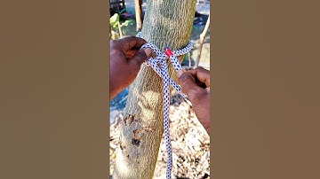 I believe this knot is 100% reliable and effective!!