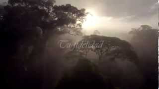 Hillsong Eres mi fortaleza con letra (you are my strength)