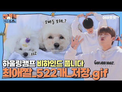 [Sub] EP.7 잔망 터지는 K아이돌의 포토 타임ㅣAB6IX 하울링캠프 마지막 에피소드ㅣ어바웃펫