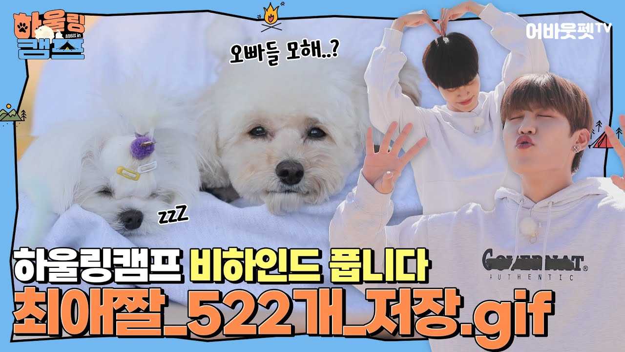 [Sub] EP.7 잔망 터지는 K아이돌의 포토 타임ㅣAB6IX 하울링캠프 마지막 에피소드ㅣ어바웃펫