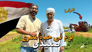 موسم حصاد القمح في صعيد مصر !!