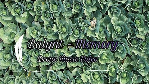 Balynt - Memory (Drone Music Video)