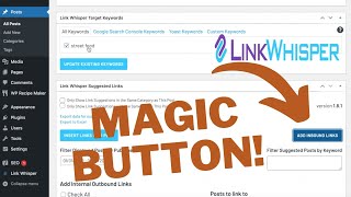 Link Whisper Pro Wordpress plugin tutorial: add internal links to a blog post