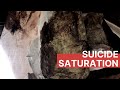 S3 episode 3 suicide saturation