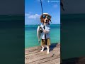 صياد ماهر Beagle Adventure Adventure Funny اكسبلور Beagle حيوانات Pets Beaglecrew Beagledog 