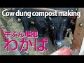 Cow dung compost making【高品質な牛糞堆肥「わかば」】ができるまで（字幕）