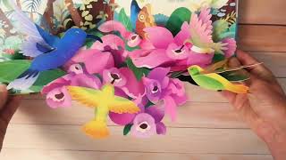 Pop-up Birds - Usborne