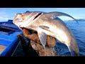 INDO TALES - EPISODE 6 (un)lucky GT.. traditional net fishing for soldierfish and grilling..