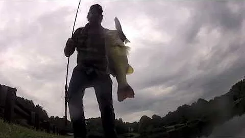 Flipping a stud on the OG Deps 250!