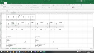 Overstromingsschatting met Microsoft Excel: logaritmemethoden