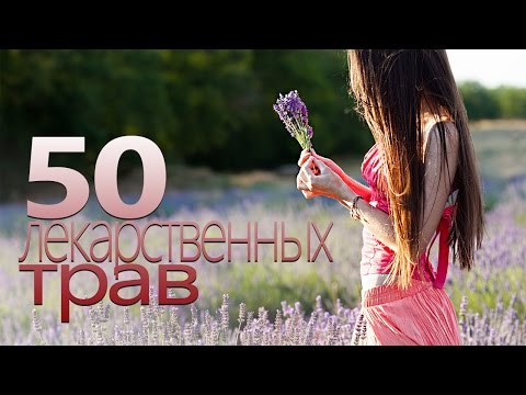 50 СИЛЬНЕЙШИХ ЛЕКАРСТВЕННЫХ ТРАВ | Шикоз ТВ