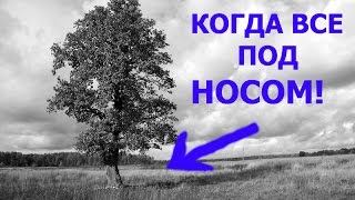 НАХОДКИ НА ЦЫГАНСКОЙ ПОЛЯНЕ!!!.............................Охота за сокровищами!