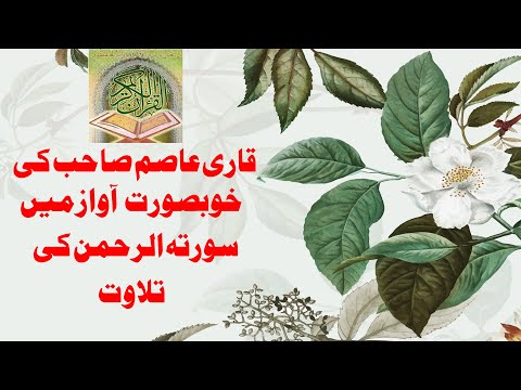 surah-ar-rahman-best-voice-in-2020-|-best-quran-recitation-|-by-qari-asim-sahib-سورہ-رحمان-کی-تلوت