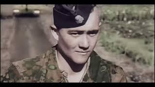 What Really Happened when SS Panzers Struck Kursk