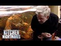 Gordon Reacts to Finding DEAD LOBSTER in the Fish Tank | Kitchen Nightmares