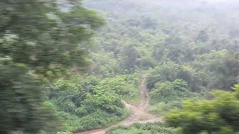 Hazaribag, koderma का जंगल very biggest forest in jharkhand।