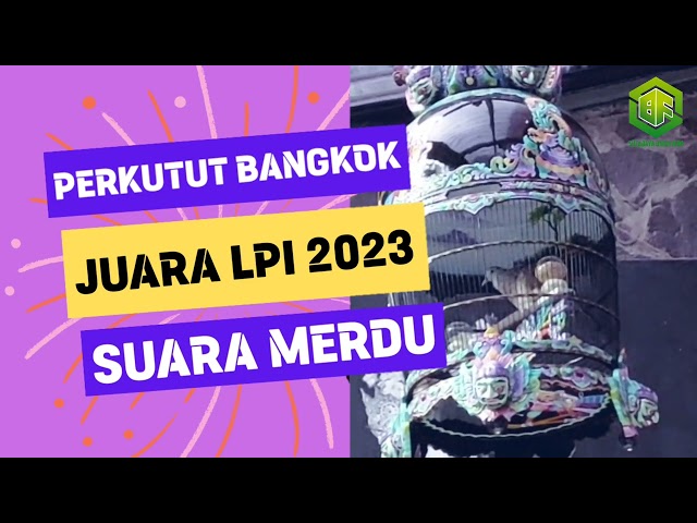 SPEKTAKULER!!! Suara Merdu Perkutut Juara LPI 2023 Bikin Yang Mendengarkan Menjadi Tenang class=