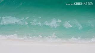 Mafia King Jimin FF Episode 1 (pls read the description)