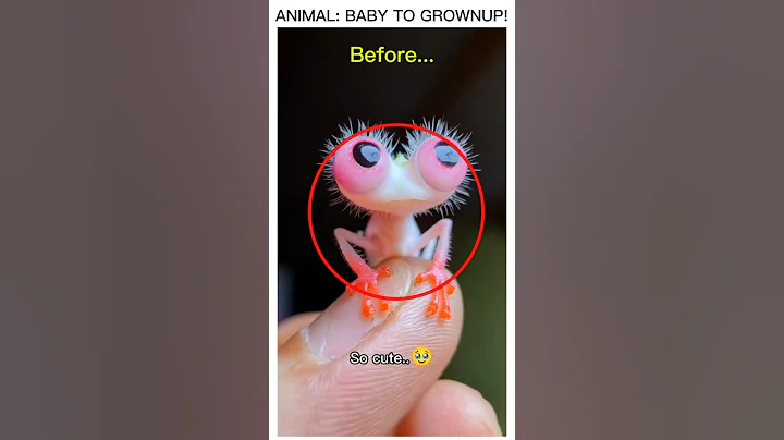 CUTE baby animal transformation 🤯 thumbnail