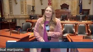 Lex18 Covers Senate Medical Marijuana Hearing
