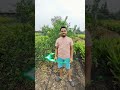 Har baar padhana jaruri nahi , kabhi dekha bhi Karo #farmer #farmerson #motivation #maharashtra