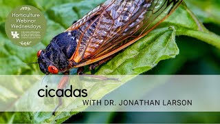 Cicadas by Horticulture Webinar Wednesday 408 views 1 month ago 29 minutes