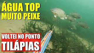 Hunter's Pesca Sub - A melhor pescaria de água doce do ano!!! Parte 1