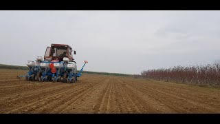 Fiat 70-66 Ng Plus 4 Monosem Green Peas Plant Greece 2021