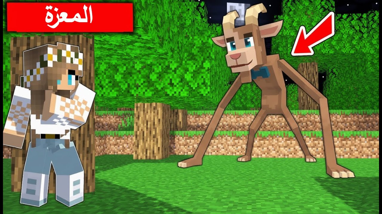 #فلم_ماين_كرافت : لا تدخل الغابة ليلا في ماين كرافت  !