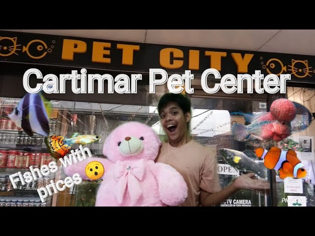 Cartimar Pet Center Mura Ba With Prices Part 1 Youtube