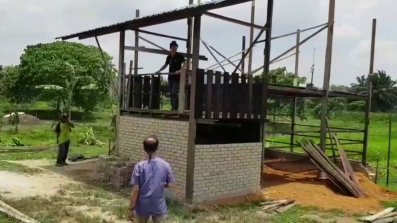 Our Agarwood Farm