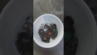 How to CLEAN coins