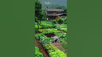 Đất vườn giá rẻ Nam Khánh Hòa