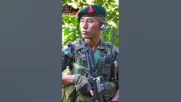 Diphu Traning Centre Assam Assam Rifle Dimapur Dimapur Diphu Nagaland Traning Viralvideo 