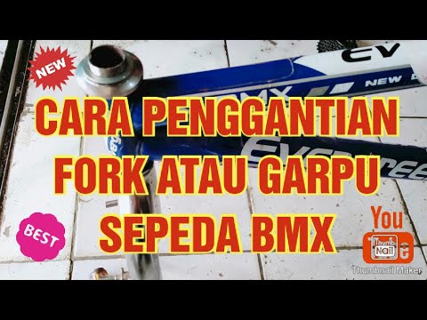 Video: Bagaimana saya melakukan ujian saya?