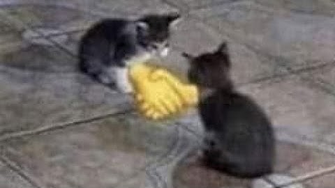 My Heroes:SEA | Leraje World Boss Phase 2.