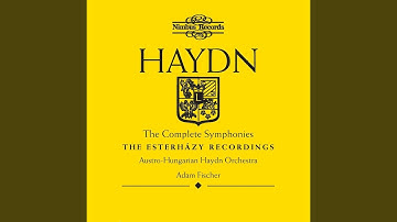 Symphony No. 19 in D Major, Hob. 1/19: I. Allegro molto