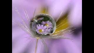 Yiruma : Fairy Tale