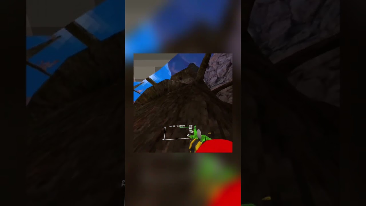 Chinese New Year! In kiwi taggers 