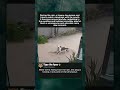 Dog Jumping and Catching Rain Drops #dog #cuteanimals
