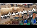 الأسعار تواصل الإرتفاع وسط إقبال هزيل الناظور سوق سلوان الأسبوعي أكبر أسواق الريف 