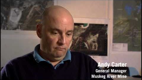 segment 4 - behaviours_HQ.mp4