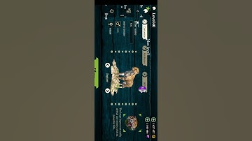 Panther Online/The Cheetah Hack Name In Your Language