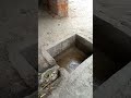 Ganne ke rash ko nikalna#video